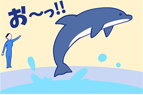 いるかショー