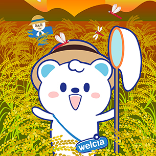 うえたんと秋の夕焼け